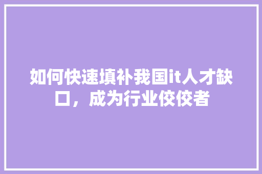 如何快速填补我国it人才缺口，成为行业佼佼者 GoogleSEO