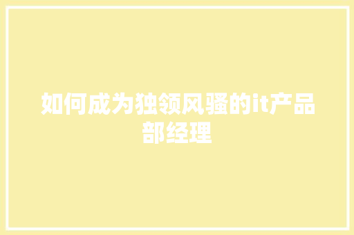 如何成为独领风骚的it产品部经理