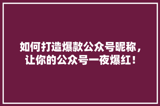如何打造爆款公众号昵称，让你的公众号一夜爆红！ 神马SEO