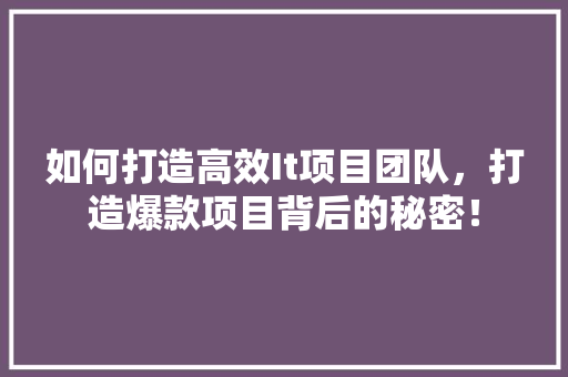 如何打造高效It项目团队，打造爆款项目背后的秘密！ 神马SEO