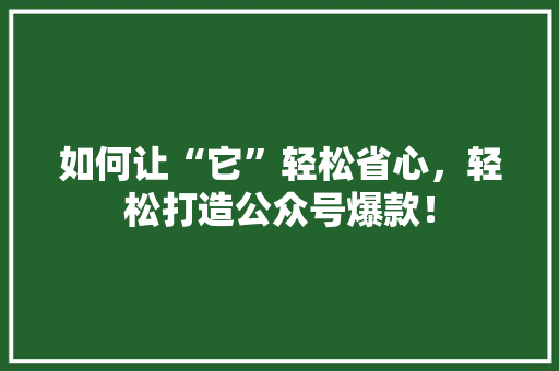 如何让“它”轻松省心，轻松打造公众号爆款！ 神马SEO