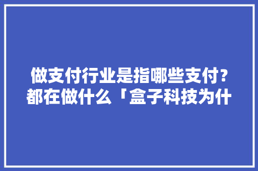 做支付行业是指哪些支付？都在做什么「盒子科技为什么不上市」 做支付行业是指哪些支付？都在做什么「盒子科技为什么不上市」 必应SEO