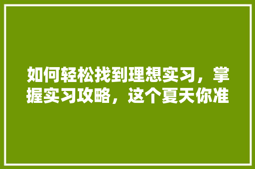 如何轻松找到理想实习，掌握实习攻略，这个夏天你准备好了吗 GoogleSEO