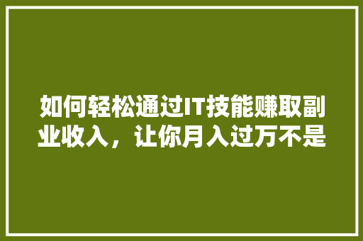 如何轻松通过IT技能赚取副业收入，让你月入过万不是梦 神马SEO