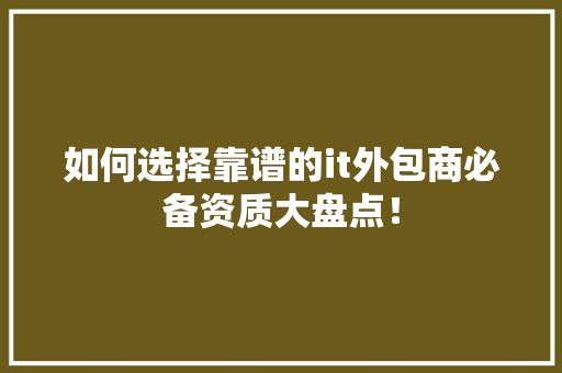 如何选择靠谱的it外包商必备资质大盘点！ 必应SEO