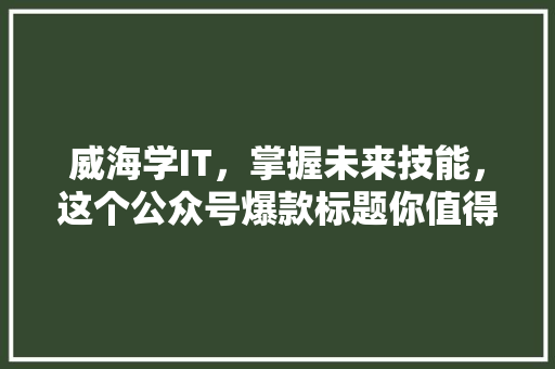 威海学IT，掌握未来技能，这个公众号爆款标题你值得拥有！ GoogleSEO