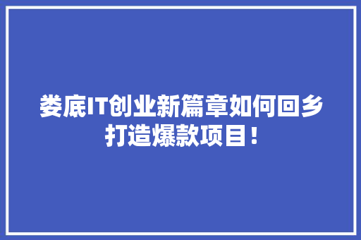 娄底IT创业新篇章如何回乡打造爆款项目！ GoogleSEO