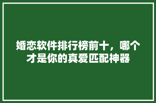 婚恋软件排行榜前十，哪个才是你的真爱匹配神器 必应SEO