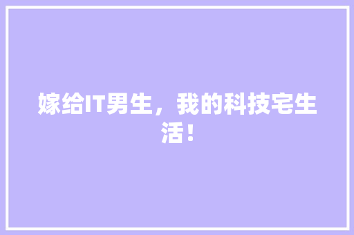 嫁给IT男生，我的科技宅生活！ 神马SEO