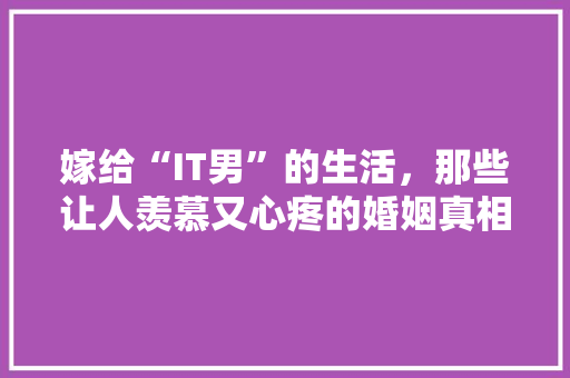 嫁给“IT男”的生活，那些让人羡慕又心疼的婚姻真相！ 必应SEO