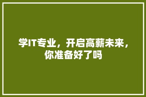 学IT专业，开启高薪未来，你准备好了吗 百度SEO