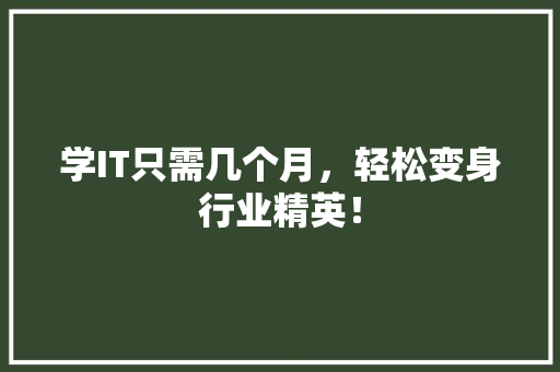 学IT只需几个月，轻松变身行业精英！ 搜狗SEO