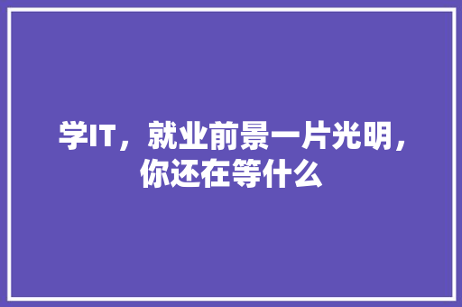 学IT，就业前景一片光明，你还在等什么 百度SEO