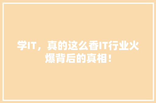 学IT，真的这么香IT行业火爆背后的真相！ 百度SEO