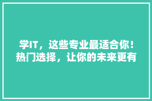 学IT，这些专业最适合你！热门选择，让你的未来更有前景！ 百度SEO