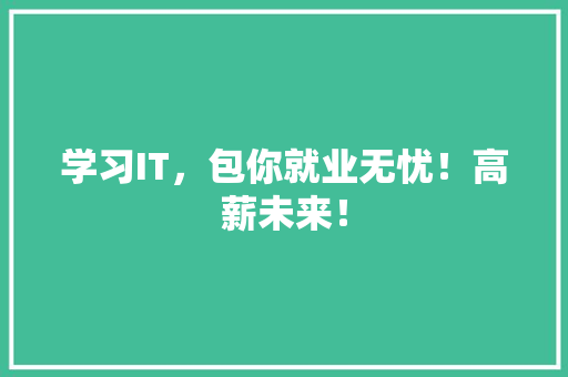 学习IT，包你就业无忧！高薪未来！ 神马SEO