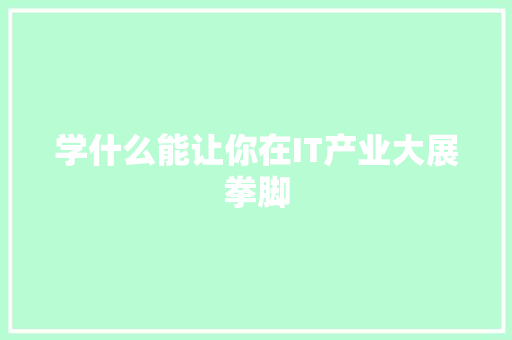 学什么能让你在IT产业大展拳脚 百度SEO