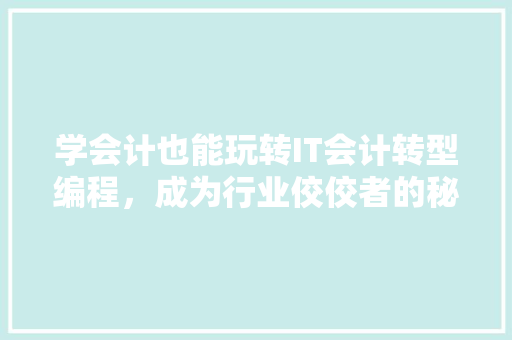 学会计也能玩转IT会计转型编程，成为行业佼佼者的秘密！ 必应SEO