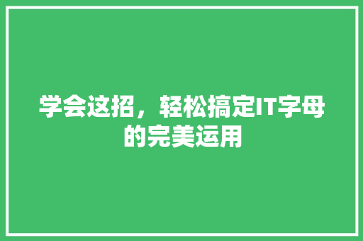 学会这招，轻松搞定IT字母的完美运用 百度SEO