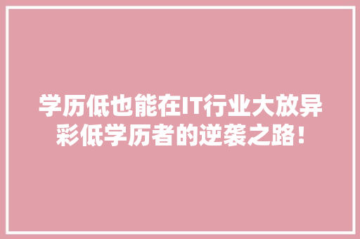 学历低也能在IT行业大放异彩低学历者的逆袭之路！ GoogleSEO