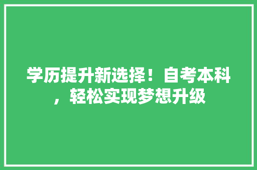 学历提升新选择！自考本科，轻松实现梦想升级 必应SEO