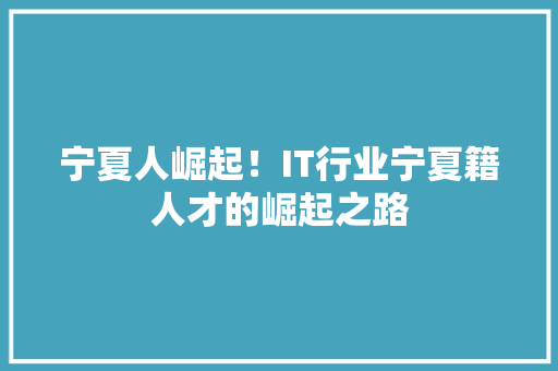 宁夏人崛起！IT行业宁夏籍人才的崛起之路 GoogleSEO