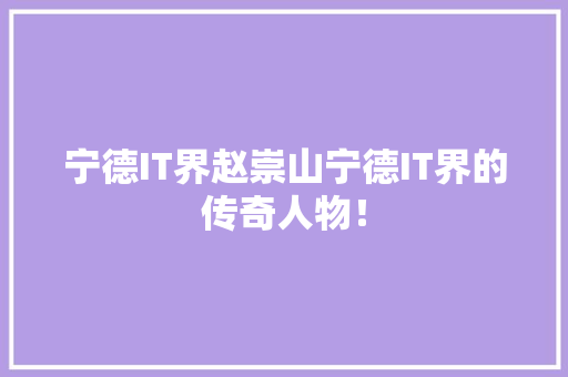 宁德IT界赵崇山宁德IT界的传奇人物！ GoogleSEO