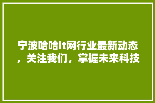 宁波哈哈it网行业最新动态，关注我们，掌握未来科技脉动！ 神马SEO