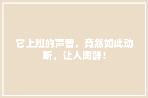 它上班的声音，竟然如此动听，让人陶醉！ 神马SEO