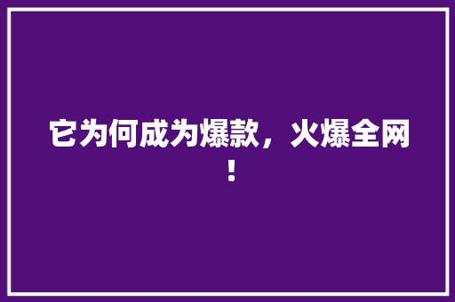 它为何成为爆款，火爆全网！ 百度SEO