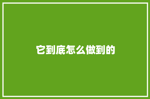 它到底怎么做到的
