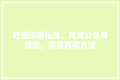 它后端接私活，竟成公众号爆款，究竟有何方法 搜狗SEO