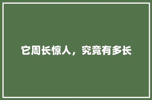 它周长惊人，究竟有多长 搜狗SEO