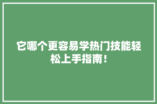 它哪个更容易学热门技能轻松上手指南！ 必应SEO
