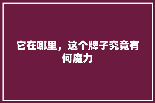 它在哪里，这个牌子究竟有何魔力 GoogleSEO