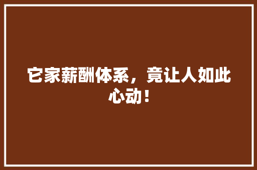 它家薪酬体系，竟让人如此心动！ 必应SEO