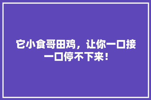 它小食哥田鸡，让你一口接一口停不下来！ 必应SEO
