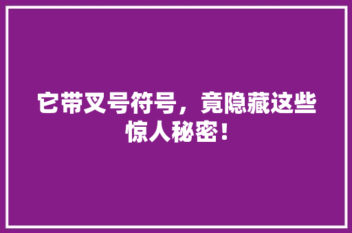 它带叉号符号，竟隐藏这些惊人秘密！ GoogleSEO