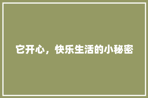 它开心，快乐生活的小秘密 百度SEO