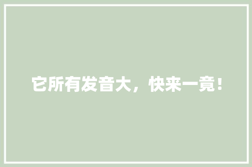 它所有发音大，快来一竟！ GoogleSEO
