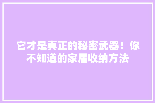 它才是真正的秘密武器！你不知道的家居收纳方法 神马SEO