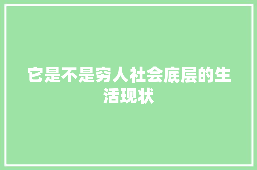 它是不是穷人社会底层的生活现状 GoogleSEO