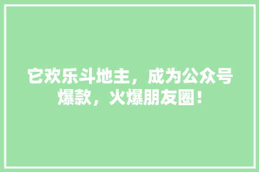 它欢乐斗地主，成为公众号爆款，火爆朋友圈！ 必应SEO