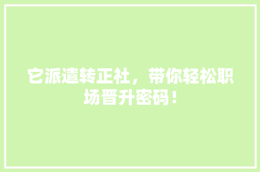 它派遣转正社，带你轻松职场晋升密码！ GoogleSEO