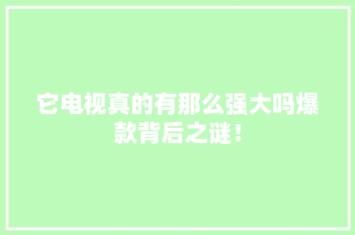 它电视真的有那么强大吗爆款背后之谜！ 神马SEO
