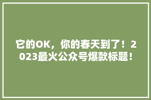它的OK，你的春天到了！2023最火公众号爆款标题！ 百度SEO
