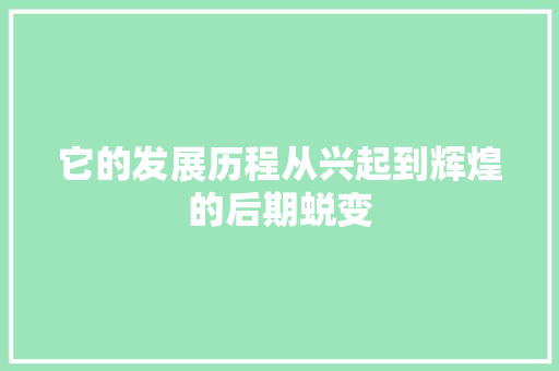 它的发展历程从兴起到辉煌的后期蜕变 必应SEO