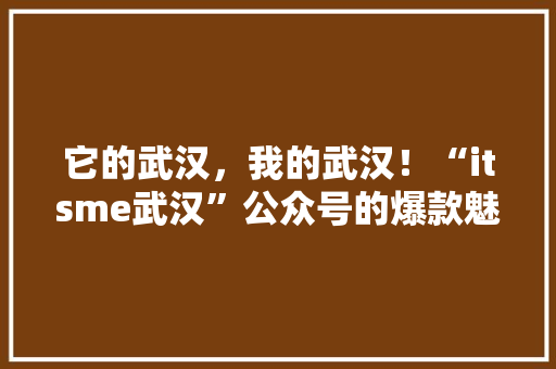 它的武汉，我的武汉！“itsme武汉”公众号的爆款魅力 必应SEO