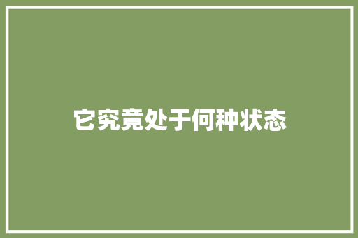 它究竟处于何种状态