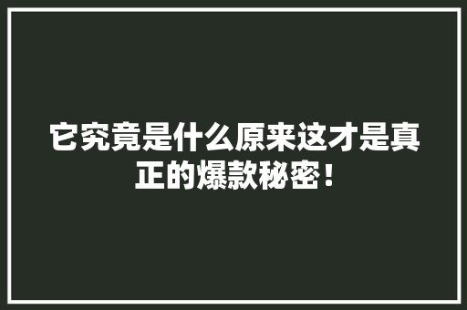 它究竟是什么原来这才是真正的爆款秘密！ GoogleSEO